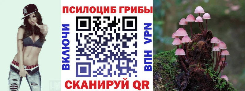 Галлюциногенные грибы ЛСД Купить Горно-Алтайск
