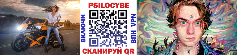 Галлюциногенные грибы Psilocybe Горно-Алтайск